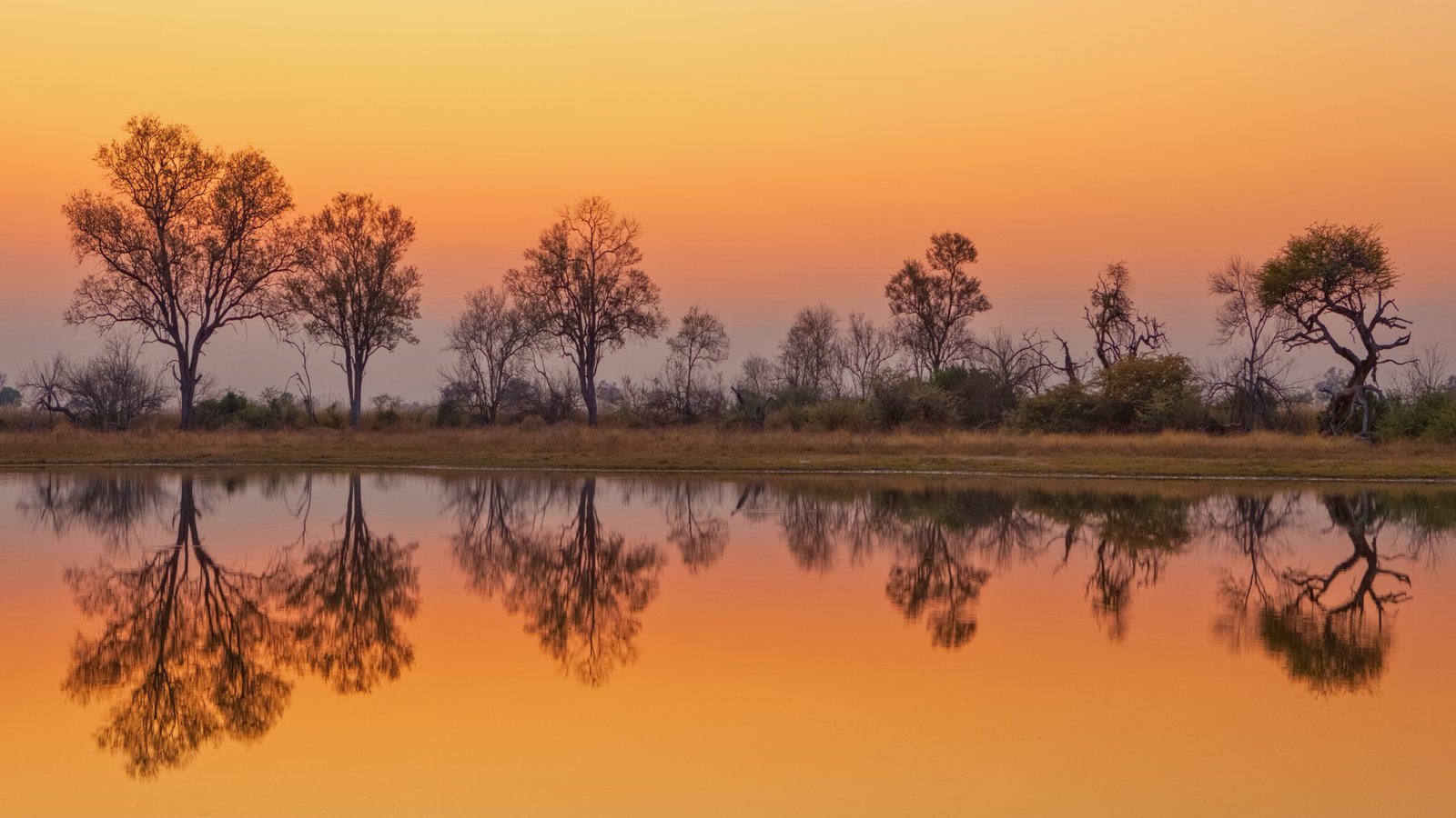 How do we become a better self?